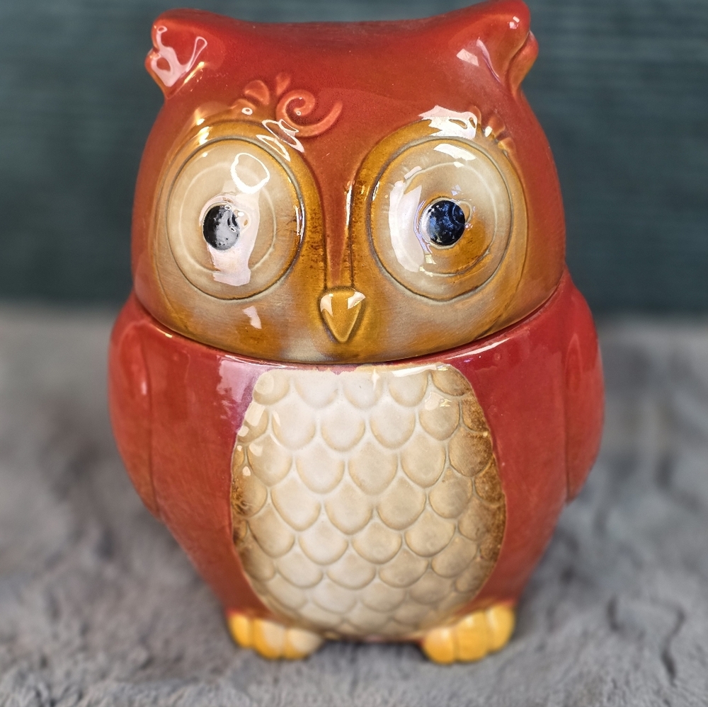 Adorable Owl Ceramic Canister/Cookie Jar Gibson Home